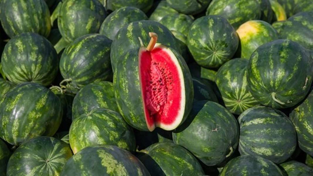 Dilim karpuzun fiyatını duyanlar küçük dilini yuttu! Asgari ücretliye karpuz almak hayal oldu 9